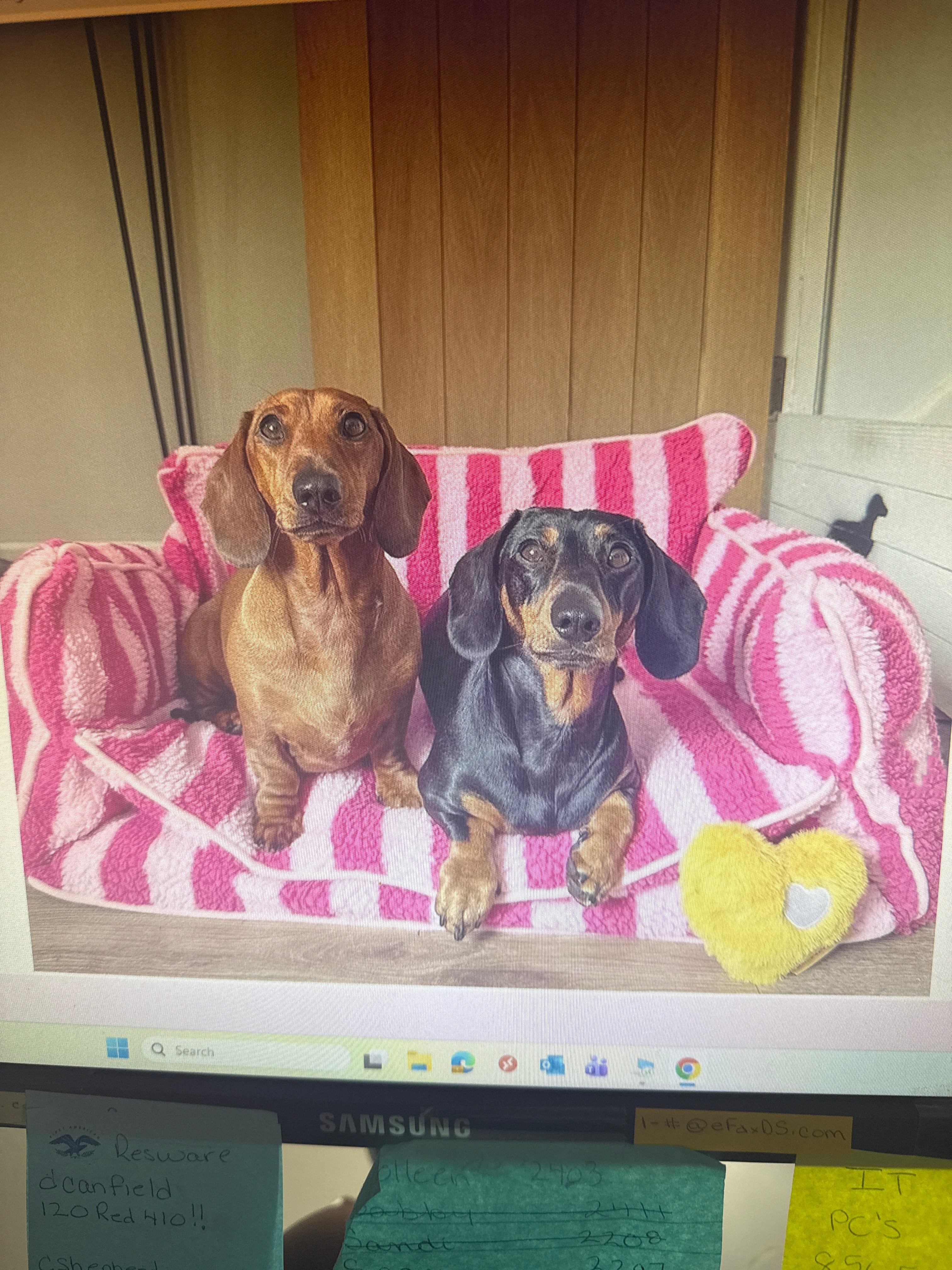 Pretty Pink Striped Dog Bed