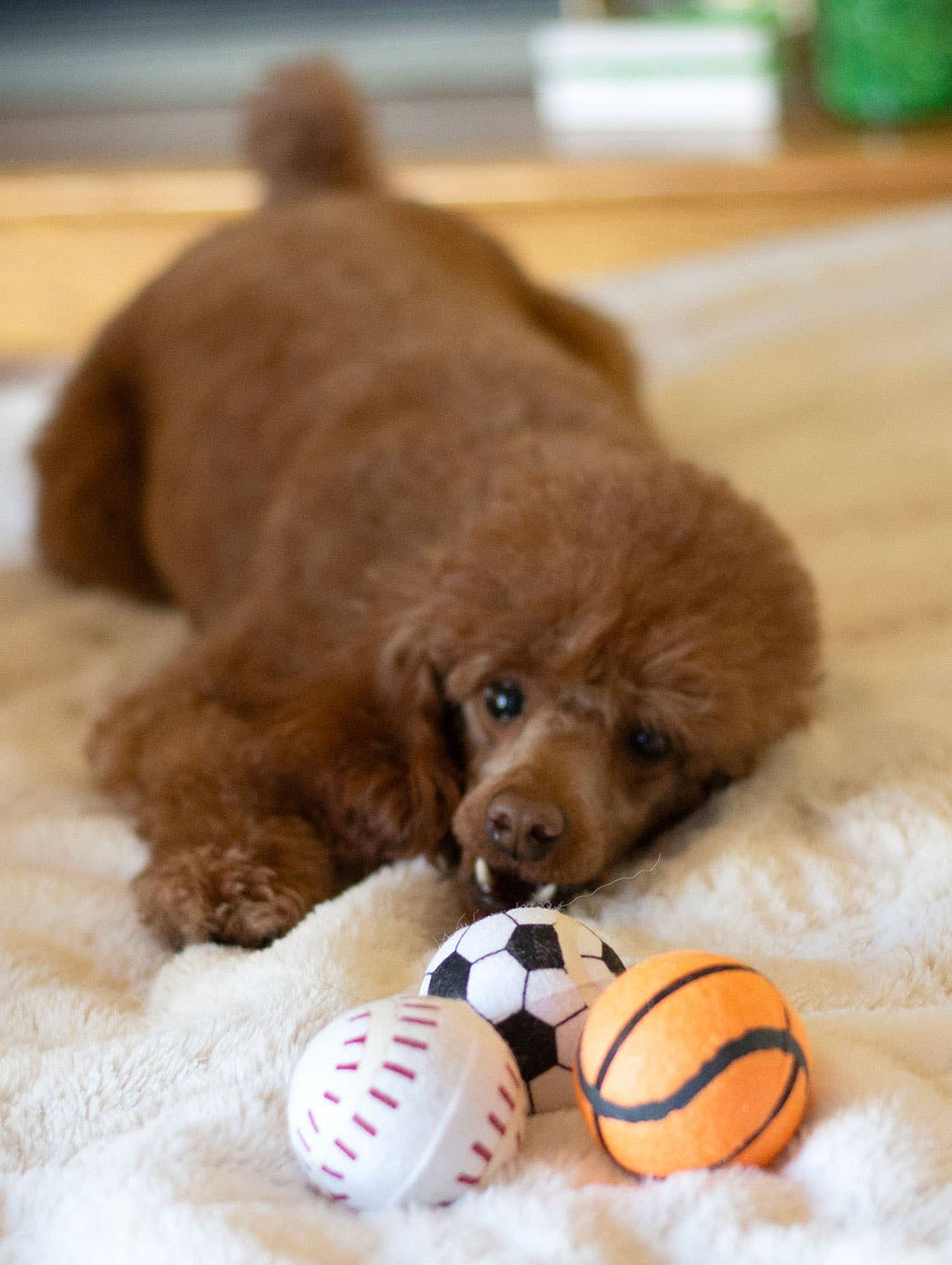 ThoozyPet Tennis Ball  Baseball/Basketball/Soccer