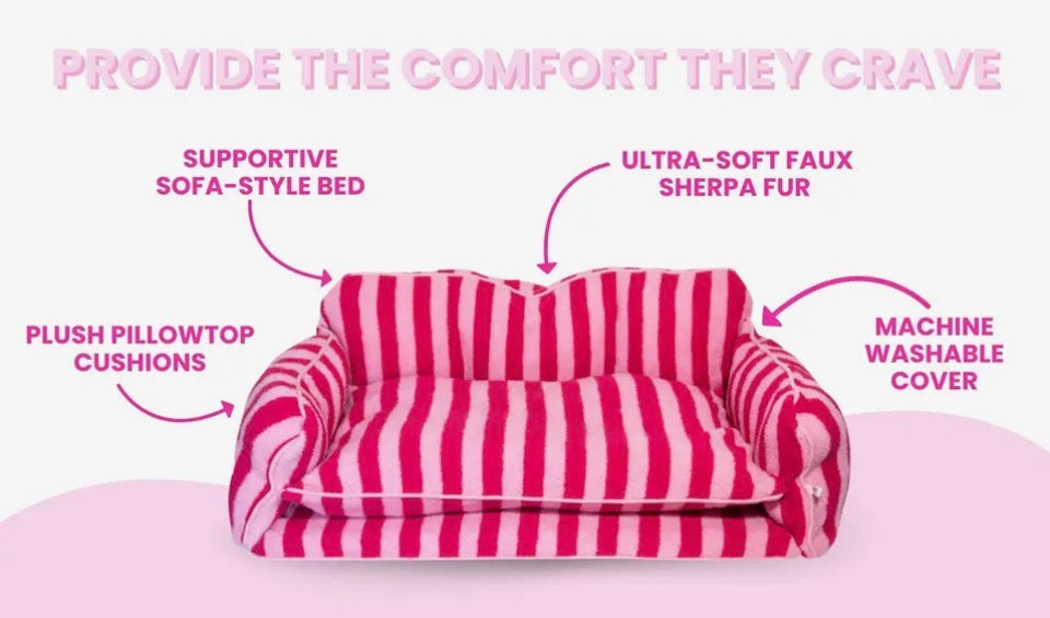 Black and White Striped Sofa Dog Bed