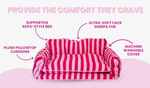 Black and White Striped Sofa Dog Bed