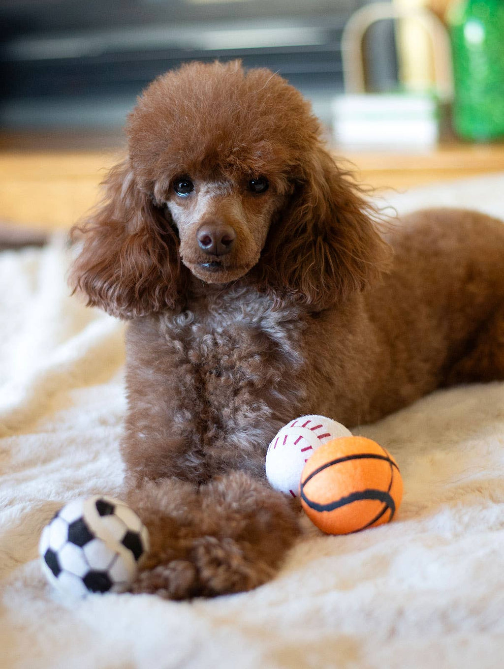 ThoozyPet Tennis Ball  Baseball/Basketball/Soccer