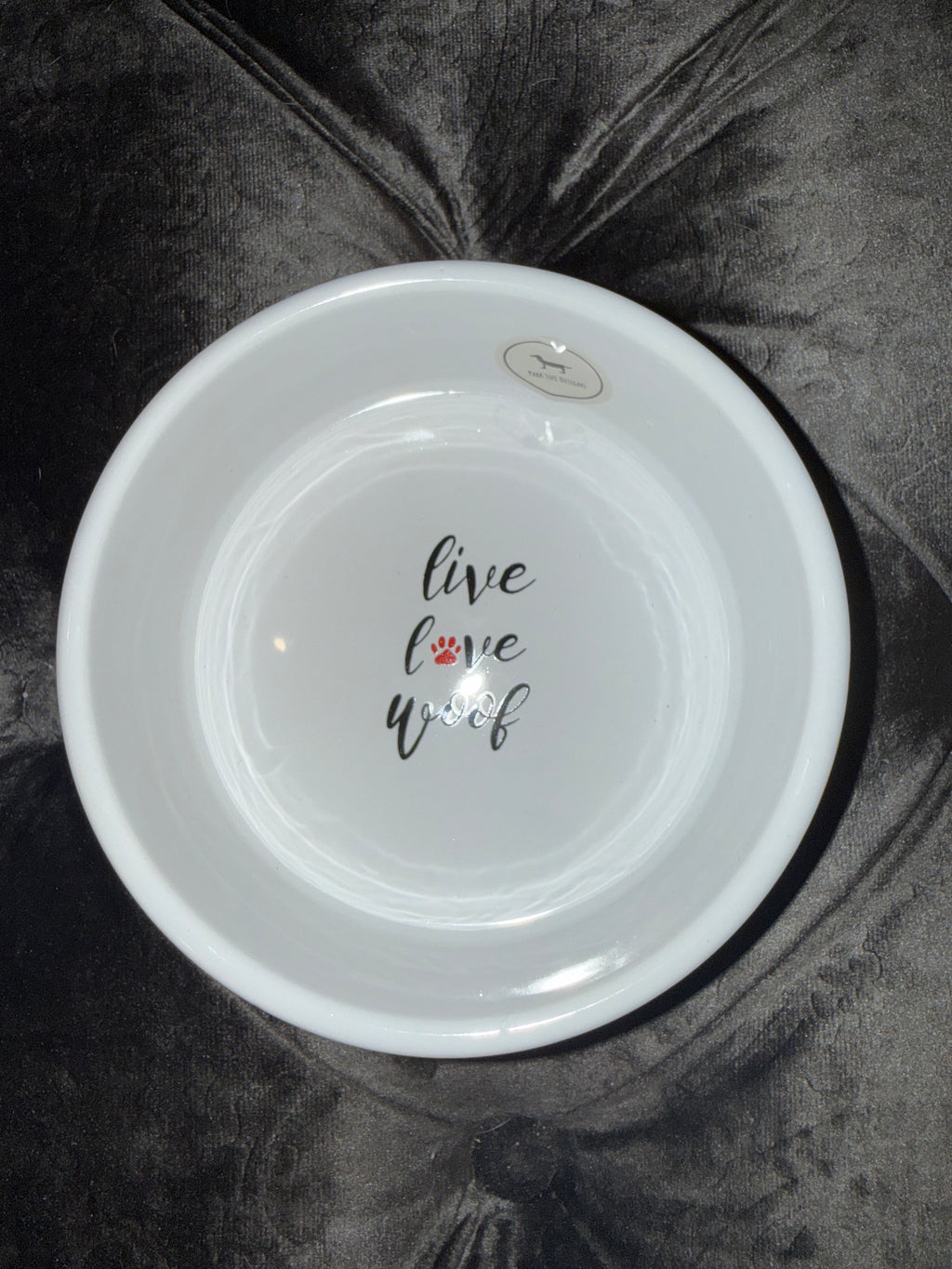 Daze Pet Bowl Small