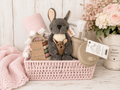 Kisses from a Kangaroo Baby Basket 🩷🦘