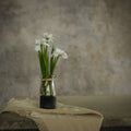 8.25" POTTED WHITE DAISY